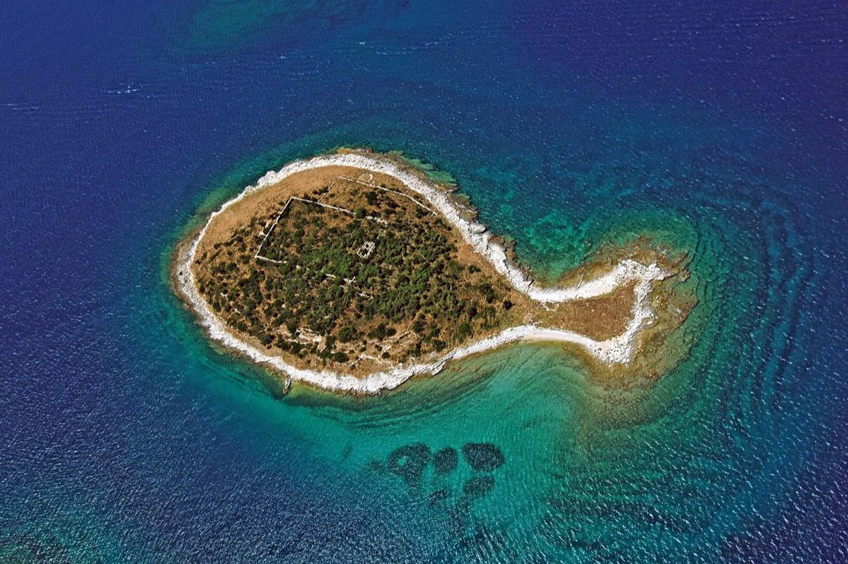 Private Speed Boat tour from Fažana: 14 islands of NP Brijuni with swimming