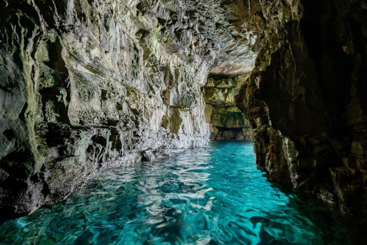Private Speed Boat tour from Fažana -  Sea caves, hidden island, cliffs and more…